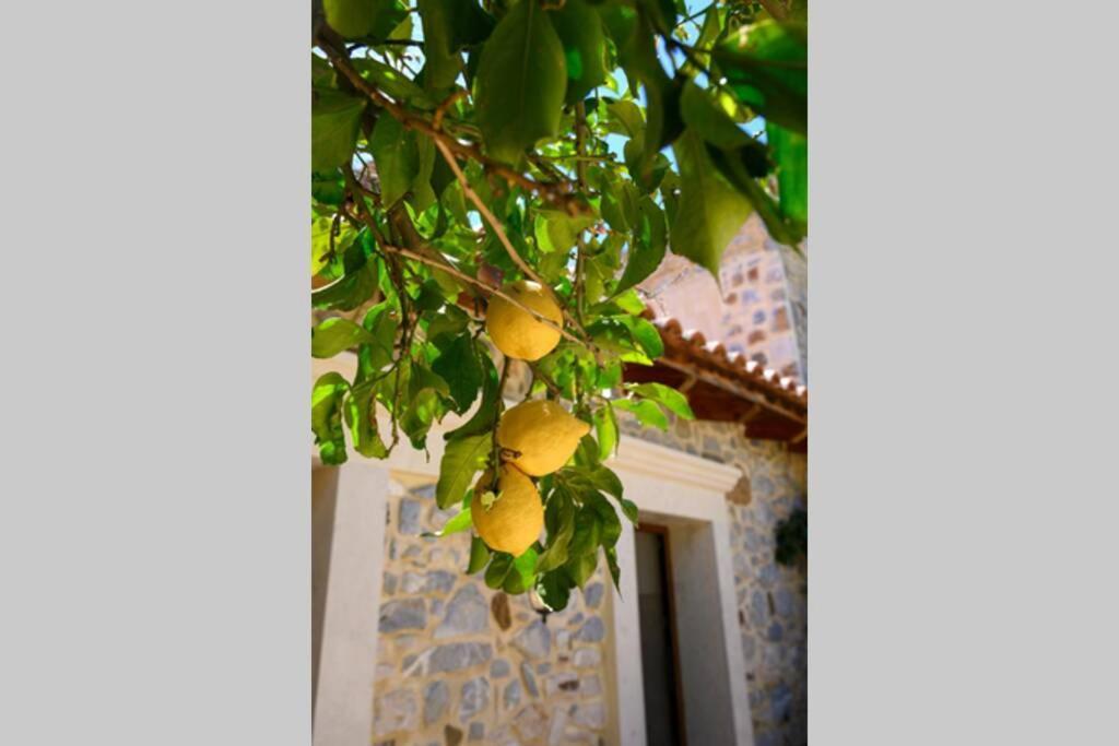 Pombia Marigoula Houseヴィラ エクステリア 写真